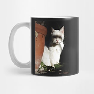 Creepy White Cat Mug